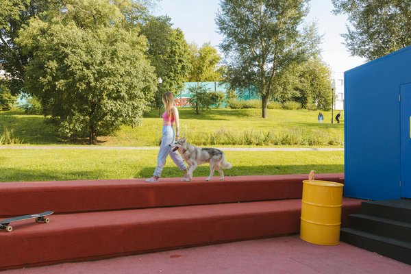 Ultimate guide to creating a digestive-friendly balanced diet for rabbits: tips for optimal health